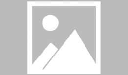 91直播av在哪下载